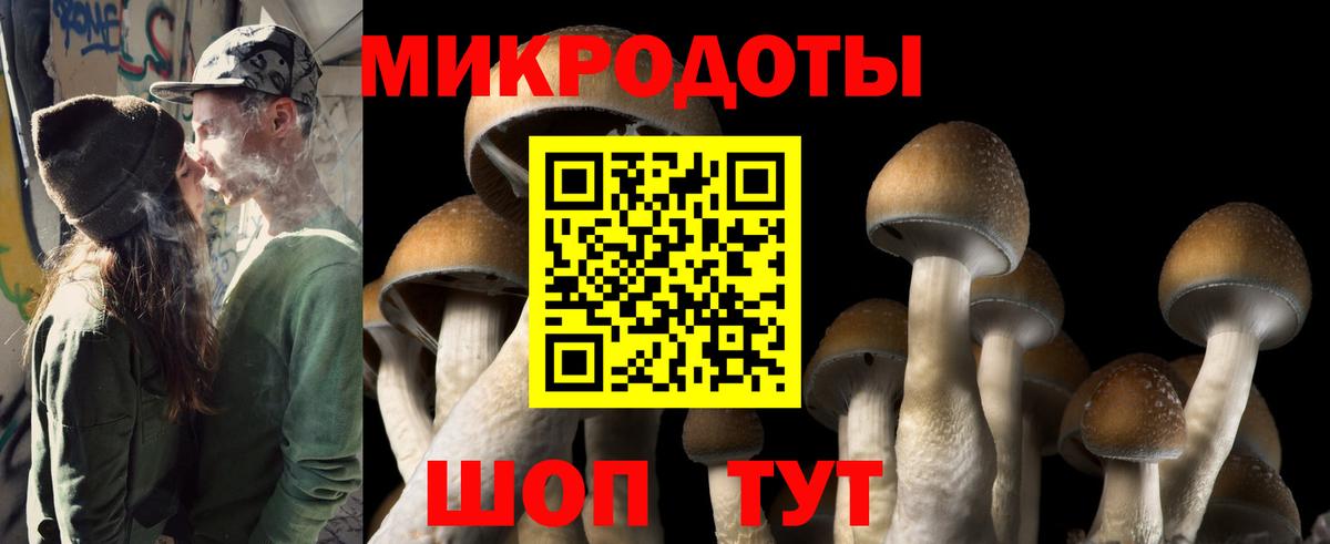 Галлюциногенные грибы мицелий Алексеевка